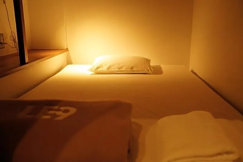 The Lower East Nine Hostel Kyoto